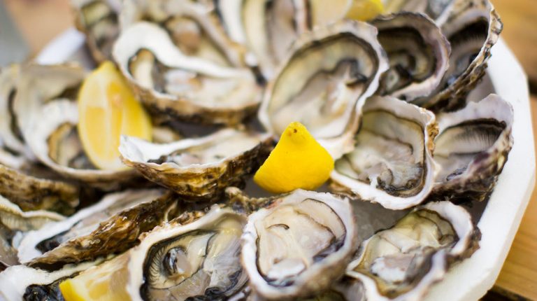 oysters on plate top view many opened oysters on plate top view close up